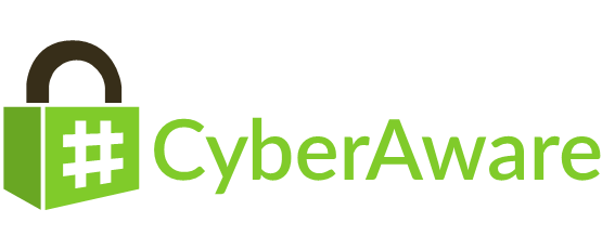 business cyber security